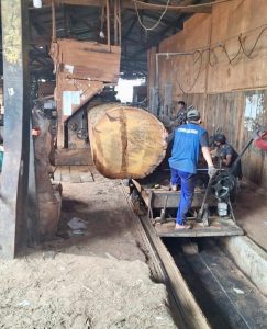 Precision wood cutting and treatment process at Touchwood Indonesia factory