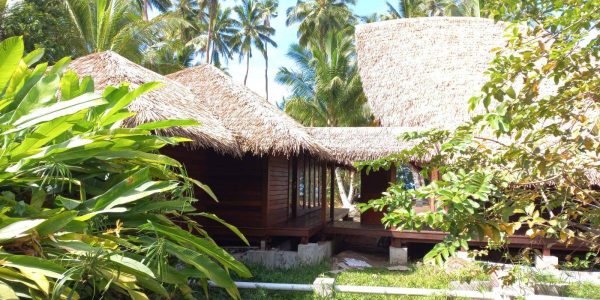 Front elevation of Tambora Bungalow Fiji showing organic curved roof design and sustainable timber architecture