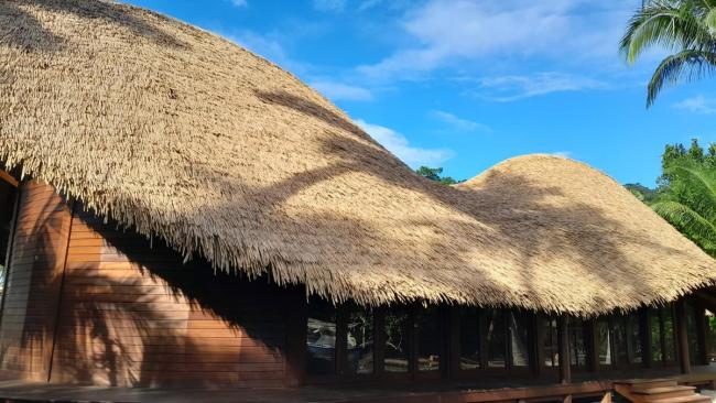 Synthetic Thatch Roof Cover